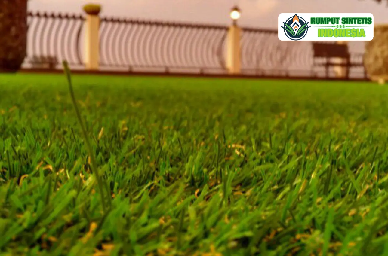 revisi-rumput-jepang2